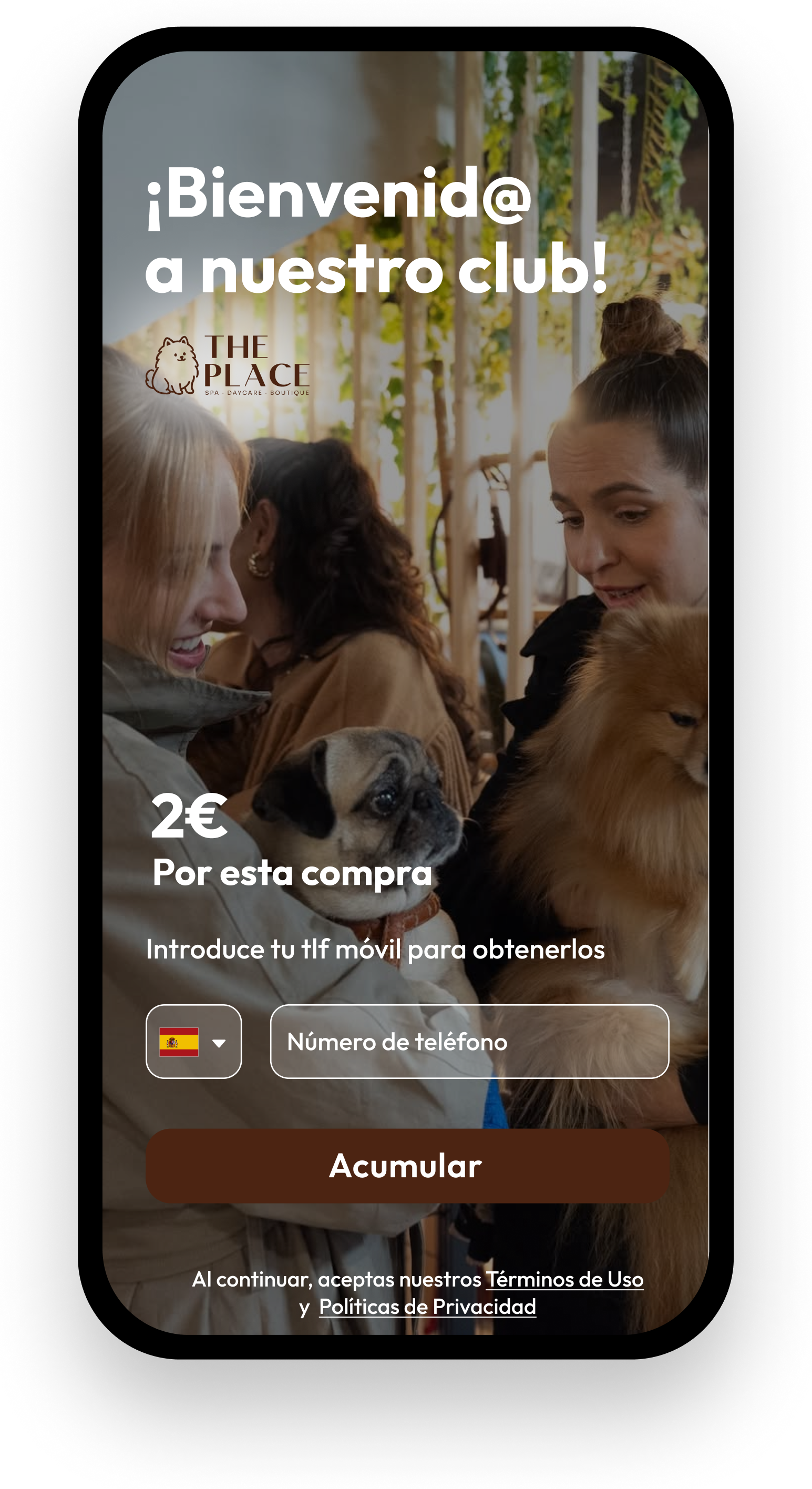 Imagen del carrusel 2